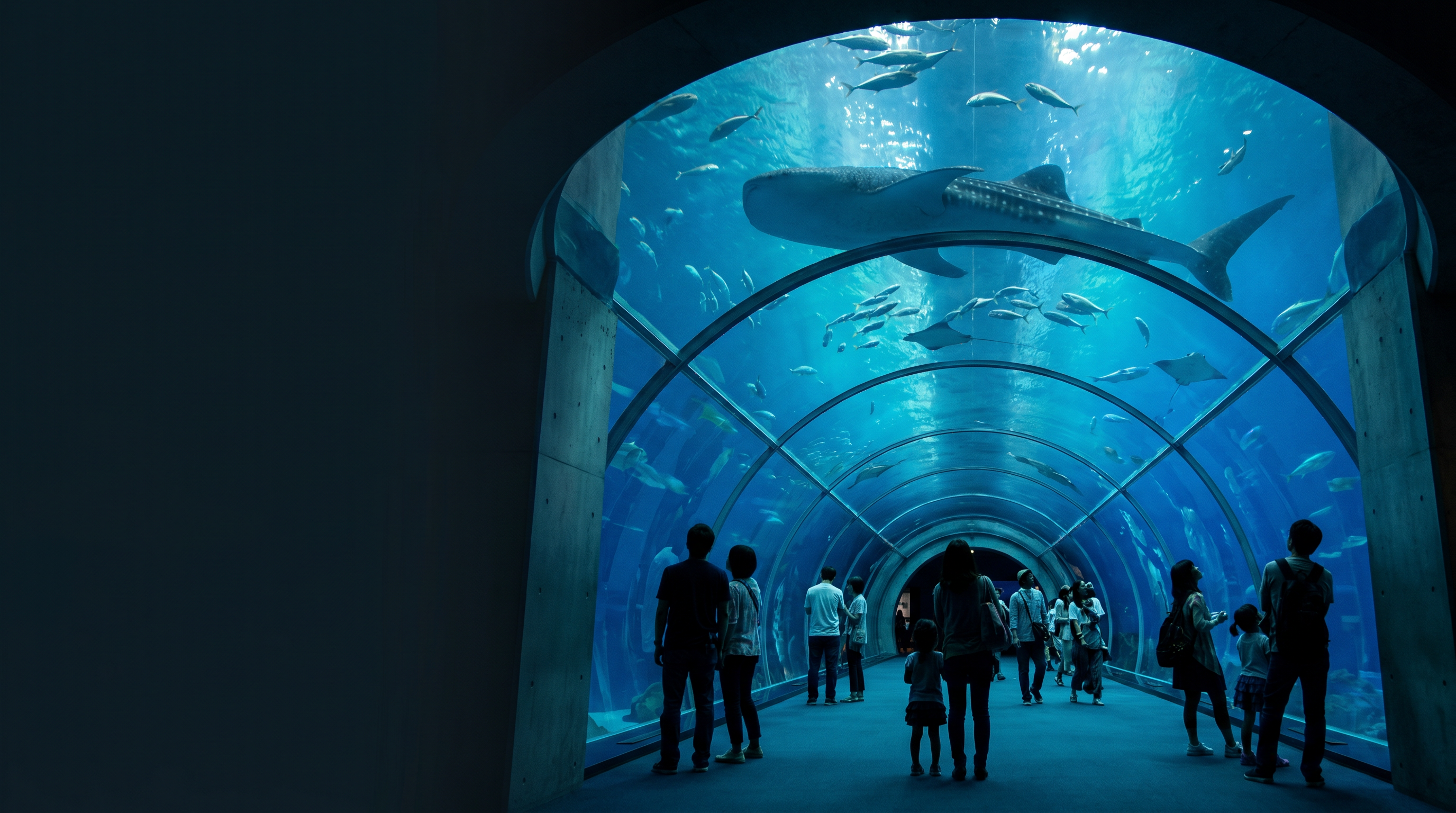 Ocean exhibit tunnel with whale shark at an aquarium